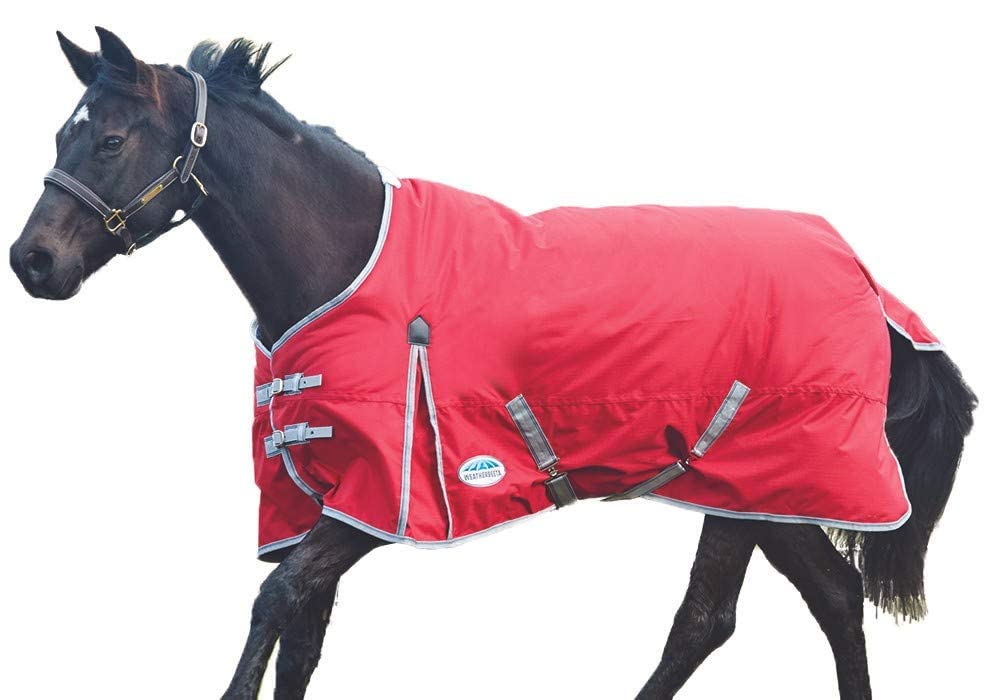 Couverture cheval anti frottement au garrot pour l'hiver