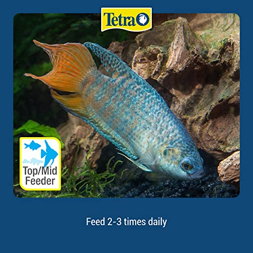 Tetramin Tropical Flakes 7.06 Ounces, Nutritionally Balanced Fish Food #TOP5