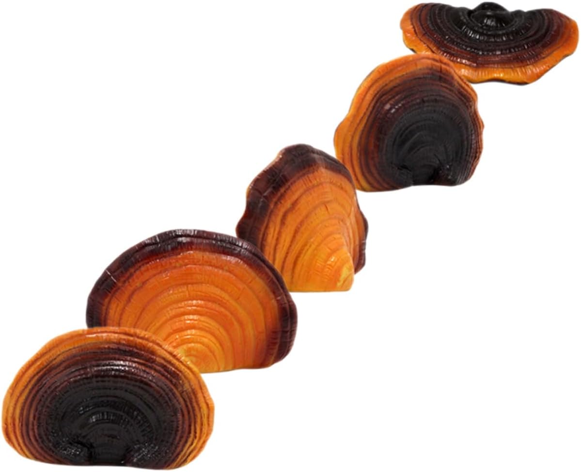 balacoo 1 Set Resin Simulated Ganoderma Lucidum Lawn Ornaments Decor Plant Resin Bonsai Mushroom Resin Mushroom Micro Landscape Mushroom Micro Mushroom Small Mushroom Figurine Crafts Glass, 9.2X6.2CM