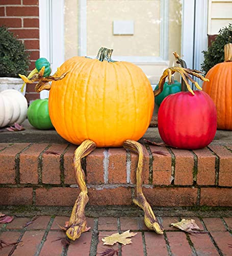Plow & Hearth Set of 4 Bendable Pumpkin Arms and Legs 65A44 の商品画像 6