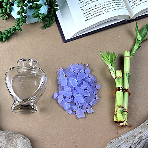 Nw Wholesaler Live Lucky Bamboo 3 Stalk Arrangement In Glass Heart Vase With Colored Sea Glass thumb #2