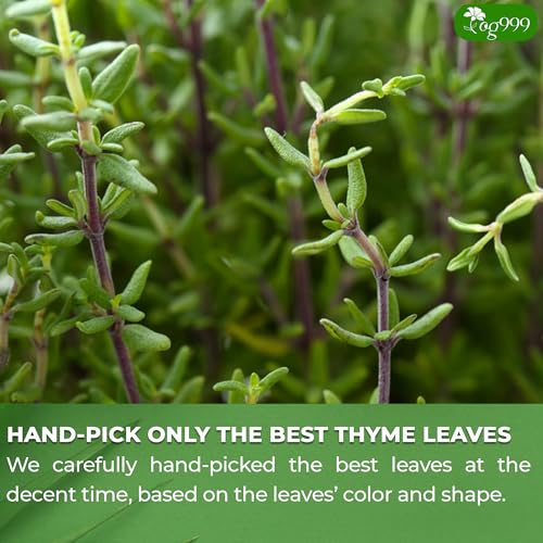 Image of TOG999, Premium 120 Thyme Leaf Tea Bags, 100% Natural & Pure. Loose Leaf Thyme Herbal Tea. No Sugar, No Caffeine, No Gluten, Vegan.