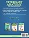 Veterinary Anatomy Coloring Book: Complete Cat, Dog & Horse Anatomy and Physiology with Detailed Skeleton & Muscle Illustrations of Cow, Bird, Deer & More + Test Yourself Exercises