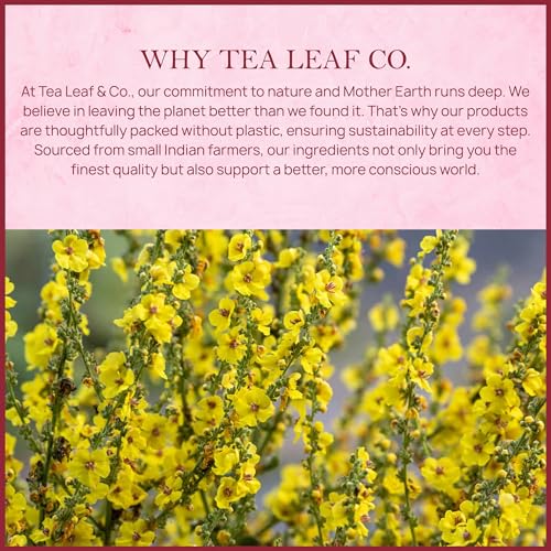 Image of Tealeaf & Co. Mullein Leaf Tea Blended with Fresh Herbs - Pure Herbal Tea Bags with Mullein Leaf Extract - Flavored Herbal Blend - Low Caffeine - Gluten Free - 50 Teabags