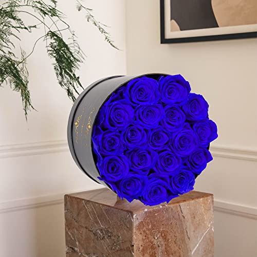 Handmade Preserved Roses In A Box, Long Lasting Royal Blue Roses, Preserved Flowers Gifts For Her Valentines Day Gifts, Mothers Day, Birthday, Anniversary #TOP3