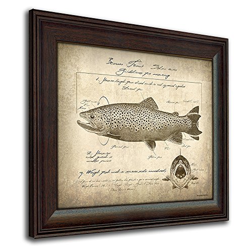 Brown Trout Vintage Fish Identification Scoring Print - 14In X 17In Framed Behind Glass #TOP10