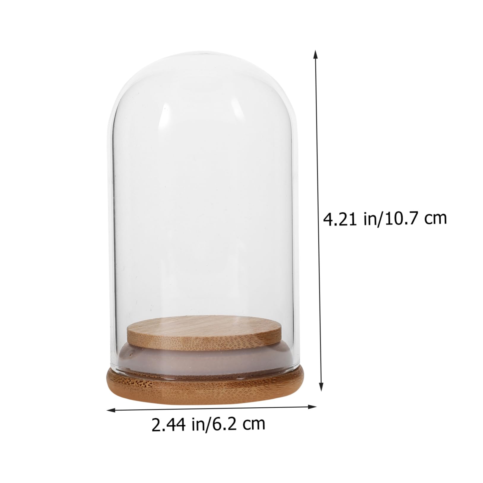 ULDIGI 5pcs Display Domes with Flower Tray Glass Model Storage Domes for Preserved Flowers Miniatures