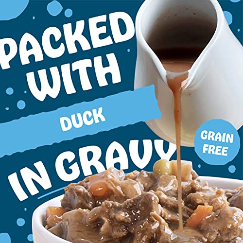 Earthborn Holistic Duke's Din-Din Stew Grain-Free Moist Dog Food #TOP3