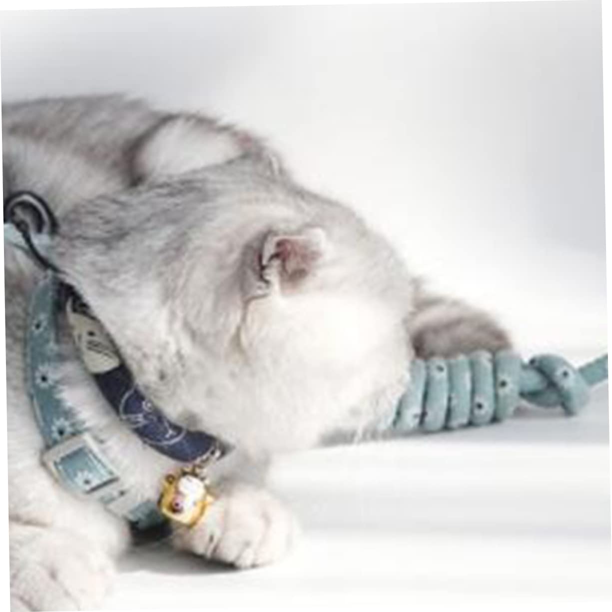 Yardwe 3 Stücke Katze Bequeme Gurt Seil Pet Supplies Design Licht Grün Für Katze Kätzchen