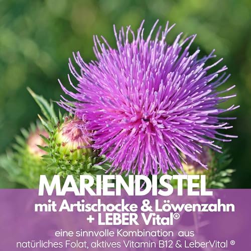 Mariendistel Komplex - mit geschützter LEBER Vital Formel -TÜV geprüft, Hochdosiert,Leberkur, 8-Fach Formel mit Artischocke, Löwenzahn - 80% Silymarin -120 vegane Kapseln - in Deutschland hergestellt – Bild 2