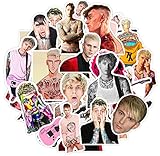 AnanoSTORE Stickers 20 pcs Aesthetic Vinyl Decals Singer Bike Label MGK Motorcycle Waterproof Car Bottle Skateboard Laptop Removable Guitar Phone Gift for Kids Friends Family