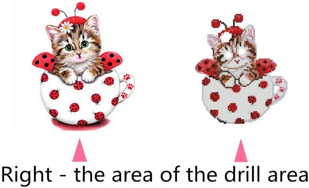 Awesocrafts Kit Diamond Painting 5D Con Brillantini - Tela 30x30 Cm Per Adulti E Bambini