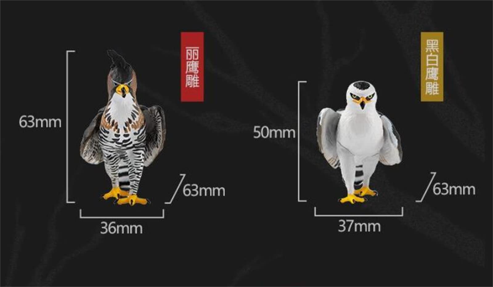 Amazon | NATURALISM 鷲 鷹 鵰 タカ目 タカ科 鳥 野生動物 リアル