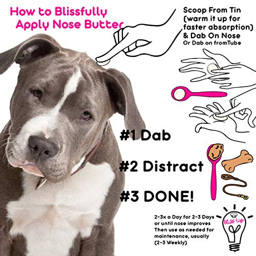 Image of The Blissful Dog American Staffordshire Terrier Nose Butter - Dog Nose Butter, 2 Ounce