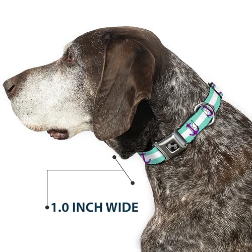 Collier de chien ceinture de sécurité Buckle Down marine M