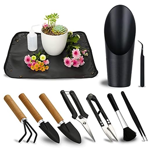 11Pcs Succulent Tools,Mini Garden Tools,Succulent Watering Tool as Plant Accessories,Succulent Gardending Hand Tools Kit for Seedling Soil,Caring Succulent,Houseplant,Gifts for Woman (No Flowerpot)