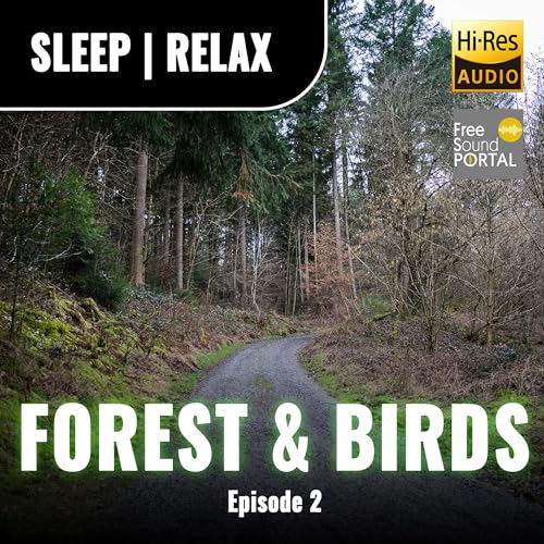 Hi-Res Audio Forest Sounds | Birds Singing | Sleep Aid | Meditation | Relax | Nature Sounds Episode 2