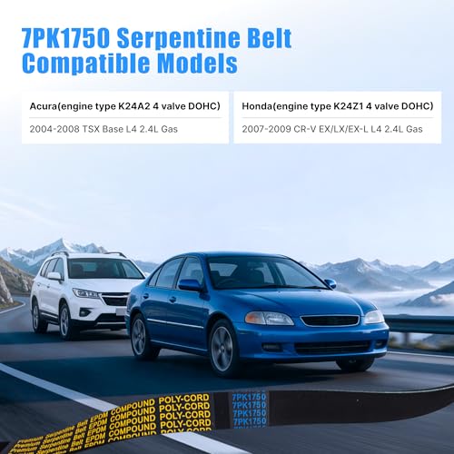 Image of 7PK1750 Serpentine Drive Belt with Acura 2004-2008 TSX Base