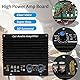 Jectse 1000W Car Audio High Power Amplifier Amp Board, 12V Aluminiumlegierung Subwoofer Amp Board für Fahrzeug Auto Lautsprecher Modifikation