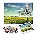 beauté classique Puzzle 1000 Pièces casse-tête panoramique Sky enfants apprentissage jeu enfants cadeau éducatif outil joie 70x50cm-paysage