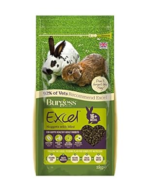 Excel Rabbit Adult Tasty Nuggets 2 kg (Pack of 2)