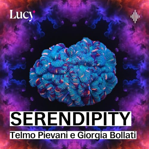 Serendipity copertina