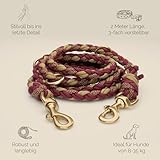 Tailoir Hundeleine 2m geflochten - Leine Hund, Mittelgroße - Große Hunde, Leine verstellbar, Hundeleinen, Dog Leash Führleine, Bissfeste Hundeleine zum Umhängen, Trainingsleine, Freihandleine Paracord