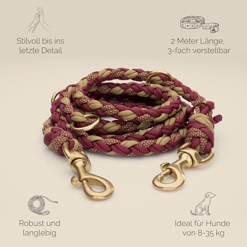 Tailoir Hundeleine 2m geflochten - Leine Hund, Mittelgroße - Große Hunde, Leine verstellbar, Hundeleinen, Dog Leash Führleine, Bissfeste Hundeleine zum Umhängen, Trainingsleine, Freihandleine Paracord
