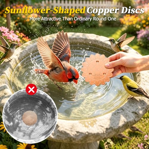 Disque de bain pour oiseaux en cuivre avec support trois points - 5
