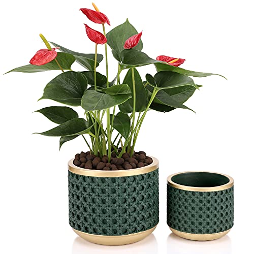 Ten-stone 6&4.4 Inch Cement Planter Decorative Pots with Drainage Hole