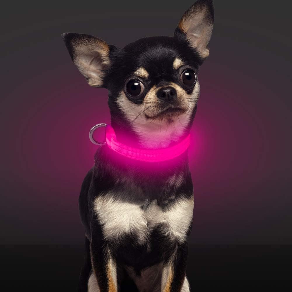 led cat collar