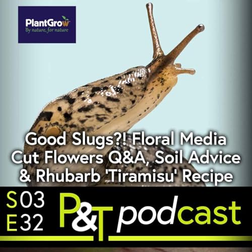Slugs that are Good for the Garden? Soil & Mulch Advice, Rhubarb Tiramisu & Growing Cut Flowers with Floral Media Pod