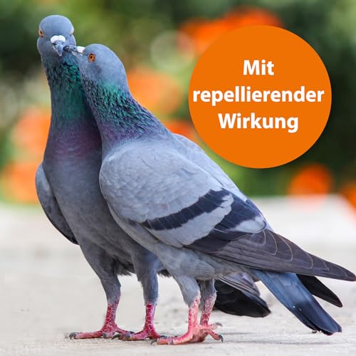 ARDAP Spot On - Zecken & Milbenschutz für Ziervögel & Brieftauben - Natürlicher Wirkstoff - Bis zu 12 Wochen nachhaltiger Langzeitschutz (PT19)