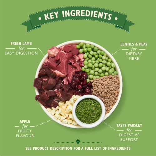 Lily's Kitchen Lamb Shepherd's Pie - Grain Free Adult Dry Dog Food (2.5 kg) - Image 3