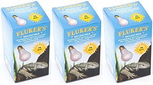 Fluker's (3 Pack Neodymium Daylight Bulbs for Reptiles 75 watt