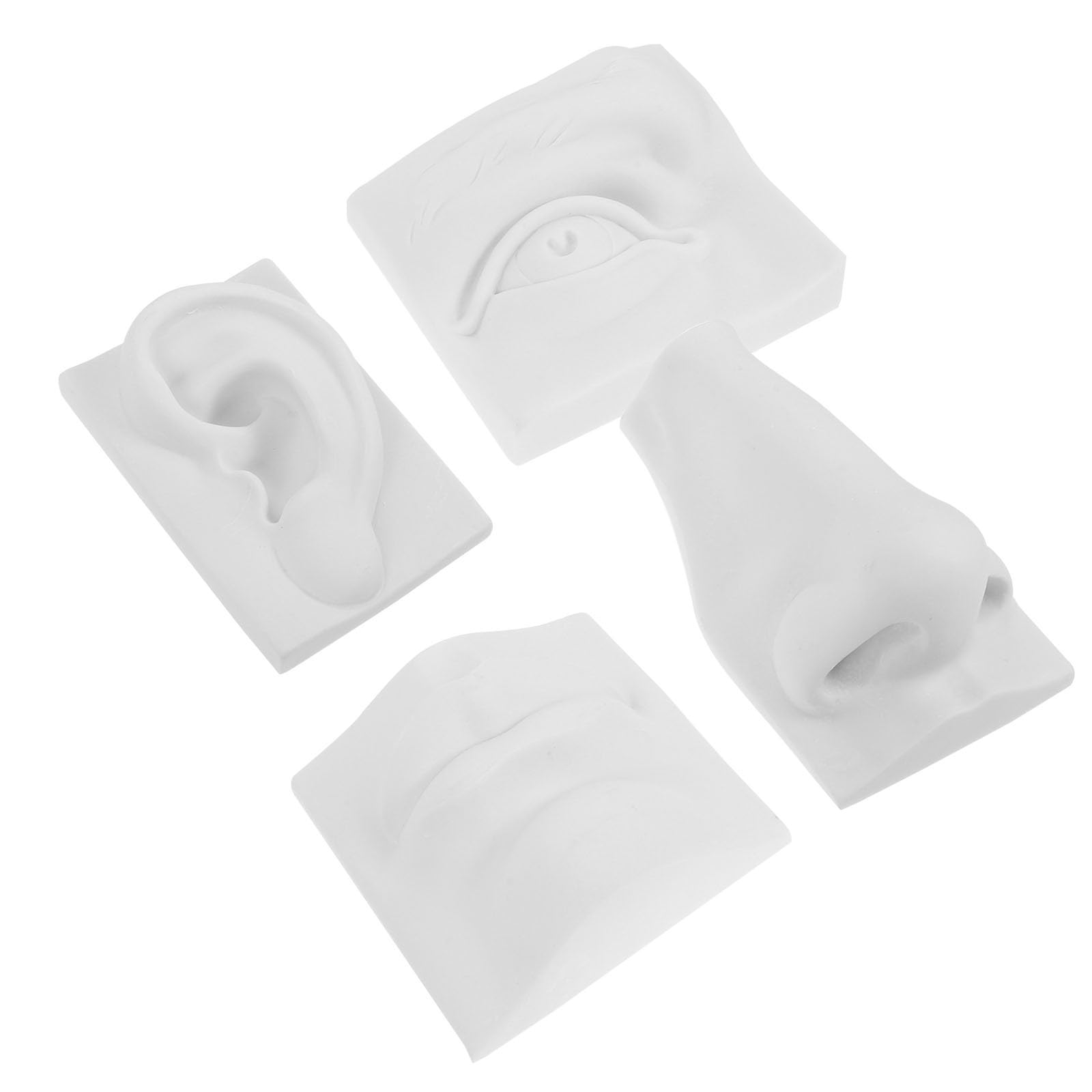 Figurine en gypse pour dessin de visage avec set de 4 pièces anatomiques de croquis