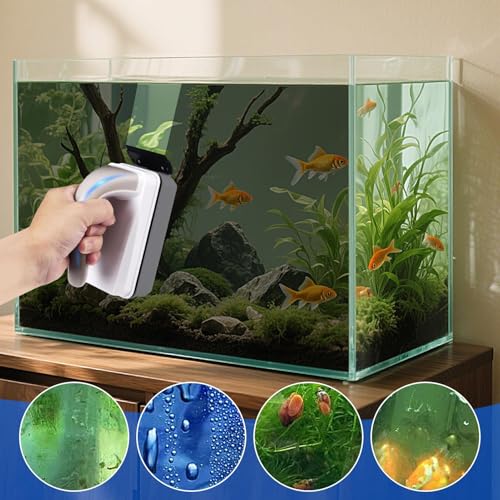 Aimant de nettoyage aquarium pour enlever algues sans rayer