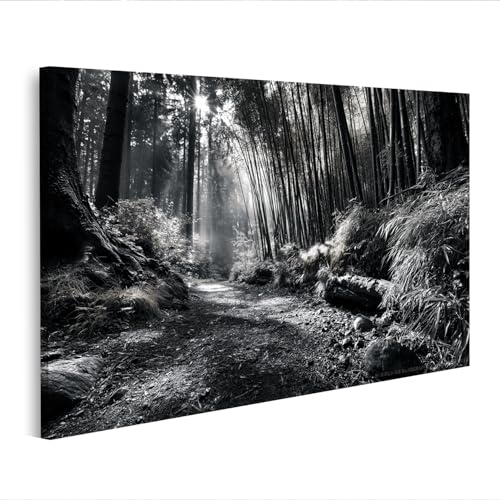 Tableau sur toile forêt de bambou mystique pour célébrer les amoureux de la nature