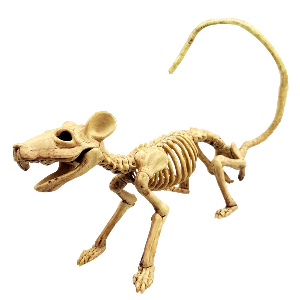 Amazon.co.jp: ASOSMOS 動物 骨格 ねずみ カラス 模型 標本 スケルトン