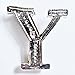 Capital Letter Y Nickel-Plated Orange Order Collarette Character - W063/Y