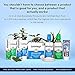 Lumineux Complete Care Toothpaste - Fresh Breath in 14 Days - Fluoride Free, NO Alcohol, Artificial Colors, SLS Free, Dentist Formulated - 3.75 Oz