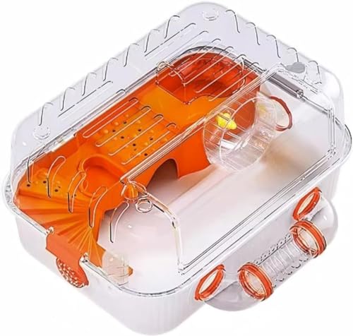 nX^[P[W S[fnX^[ P[W 傫 g ^т₷|₷ ʋC (B)