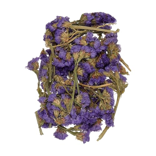 Set Natural de Flores Secas - UXCell