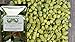 Price comparison product image 50g Falconer's Flight Blend Hop Pellets - 2022 Crop. CO2 Flushed for Freshness and Cold Stored- Home Brew Hops for Beer Brewing.