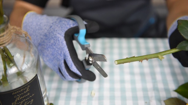 Tuinschaar