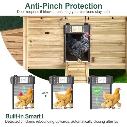 Automatic Chicken Coop Door Solar