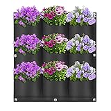 Embellezca su jardín: plantadora colgante perfecta para las plantas, convirtiendo cualquier área no utilizada o fea en un jardín vertical vibrante y exuberante, aire fresco y mejora su salud