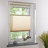 Liedeco® Plissee freihängend mit Klemmträger / 80 x 200 cm caffee (Breite x Höhe) / lichtdurchlässig blickdicht und stufenlos verstellbar / viele Farben und Größen / Breiten 43 - 100 cm / variable und einfache Montage möglich