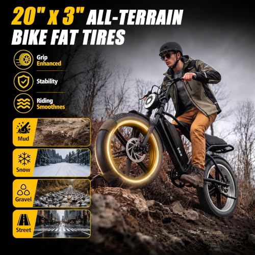 Qiuwoft 20x3 Fat Tire & Tube Set