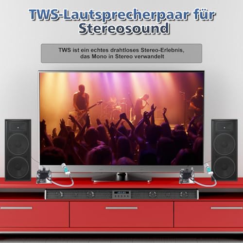 Lumenrix Bluetooth Verstärker Modul,TWS DC 9-24V 100W Mono Audio Verstärkerplatine mit AUX USB Bluetooth Platine für Lautsprecher DIY Heimkino Haushalten Schulen (TPA3116)